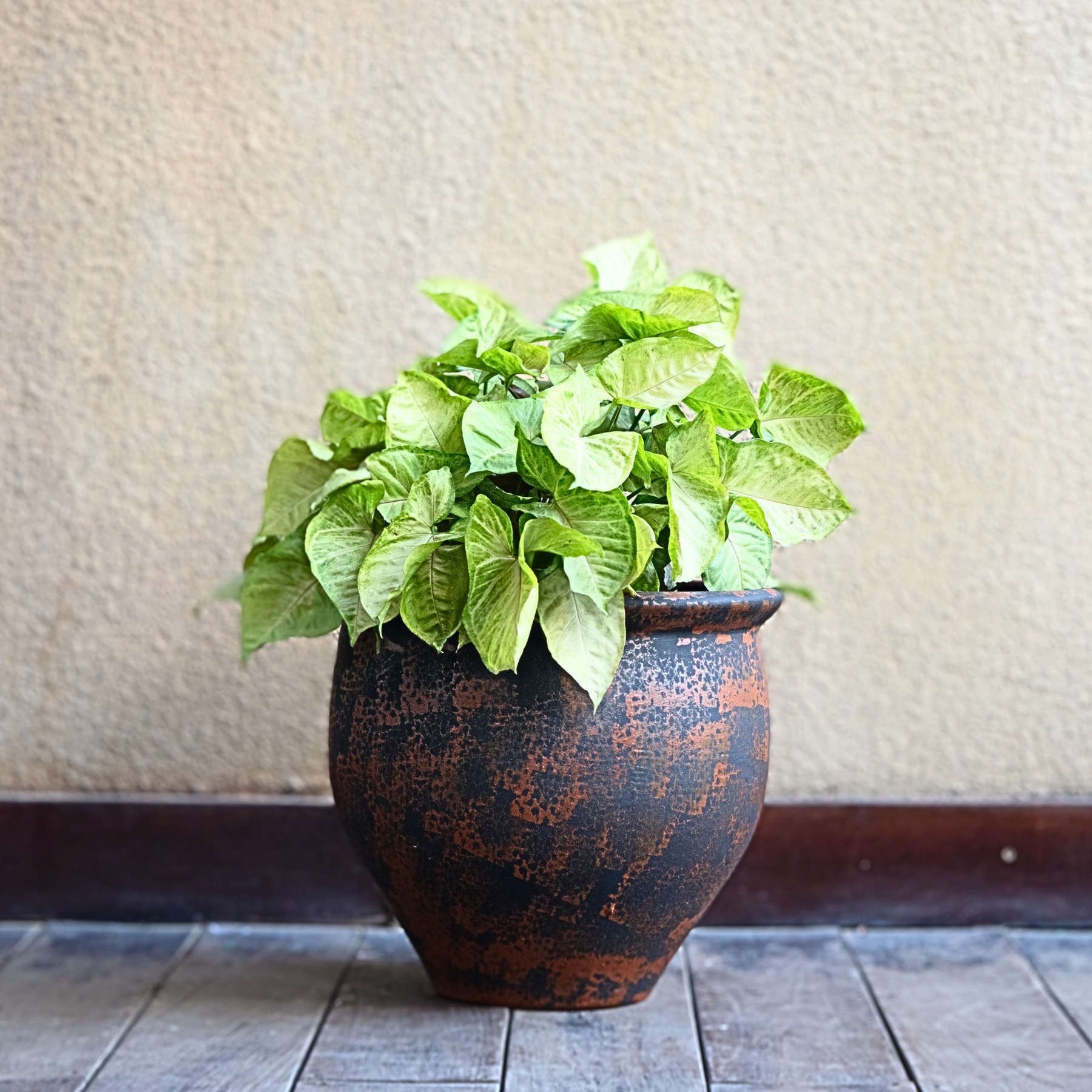 Crimson Bloom Pot