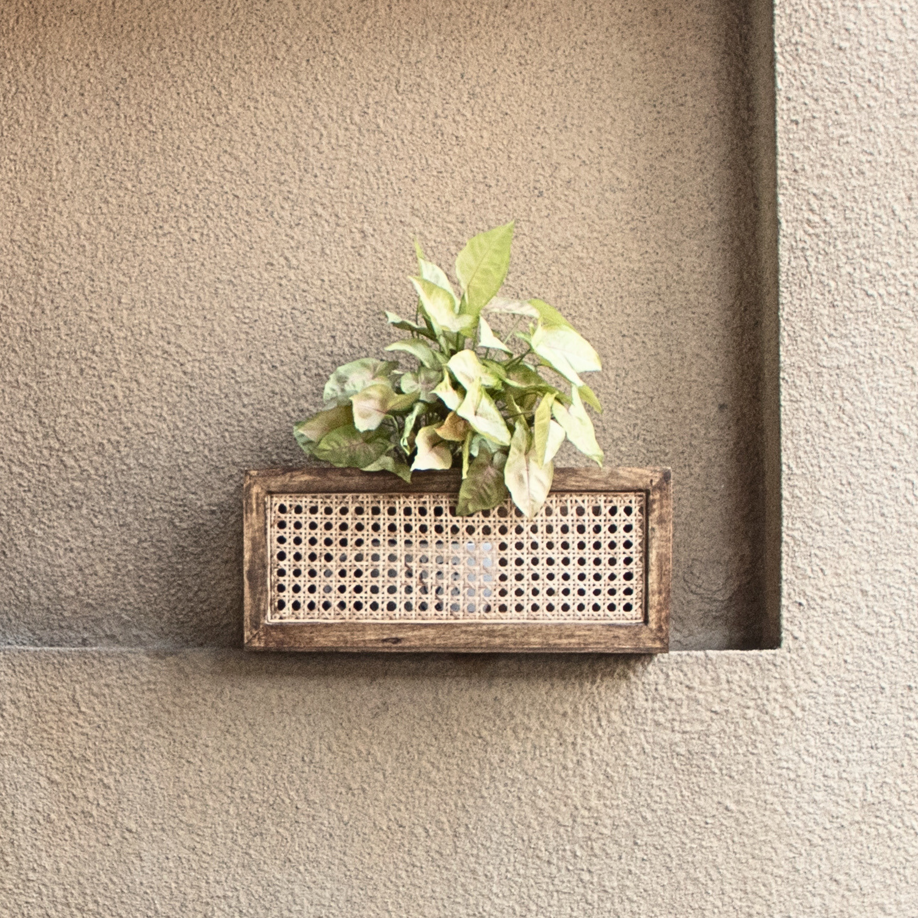 Cane Mosaic Planter