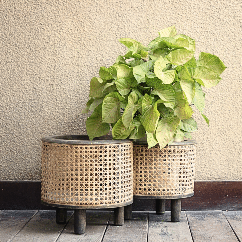 Petite Orb Mosaic Planter