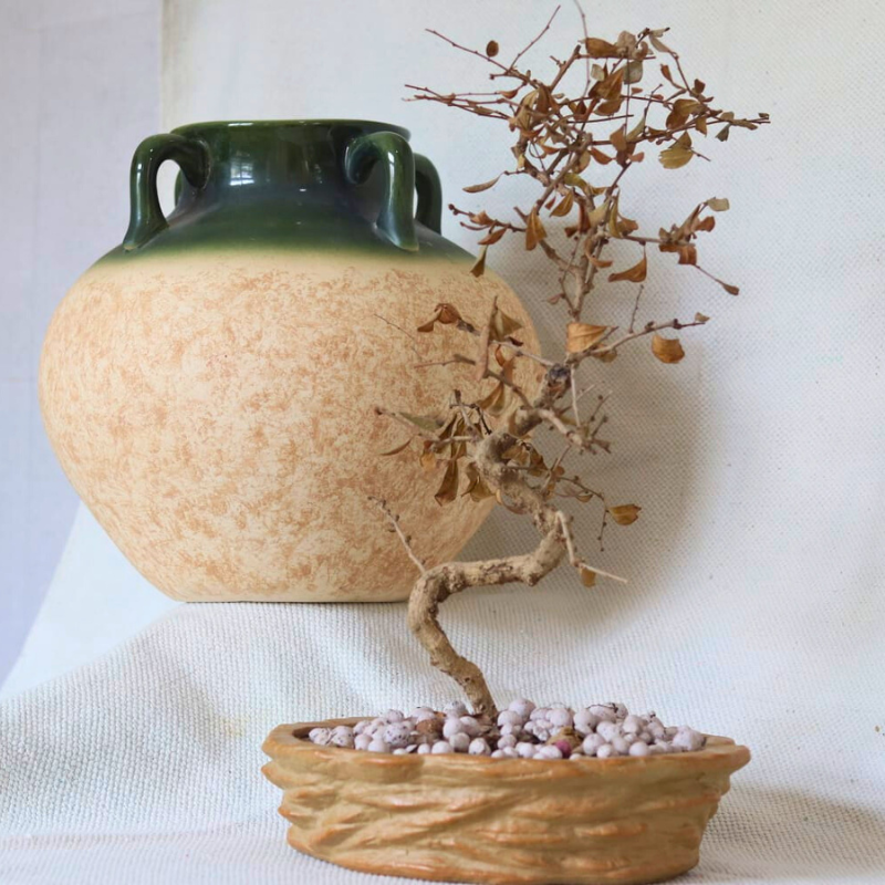 Ceramic Pot
